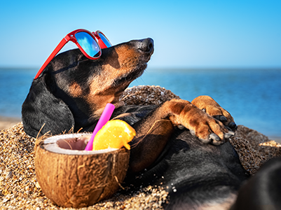 How To Increase Your Earnings This Summer