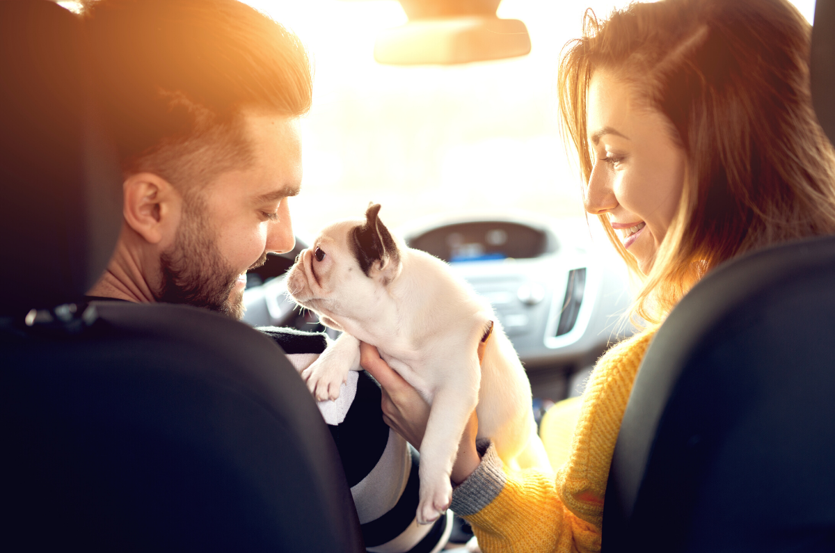 New Pet Parents: Pay Attention