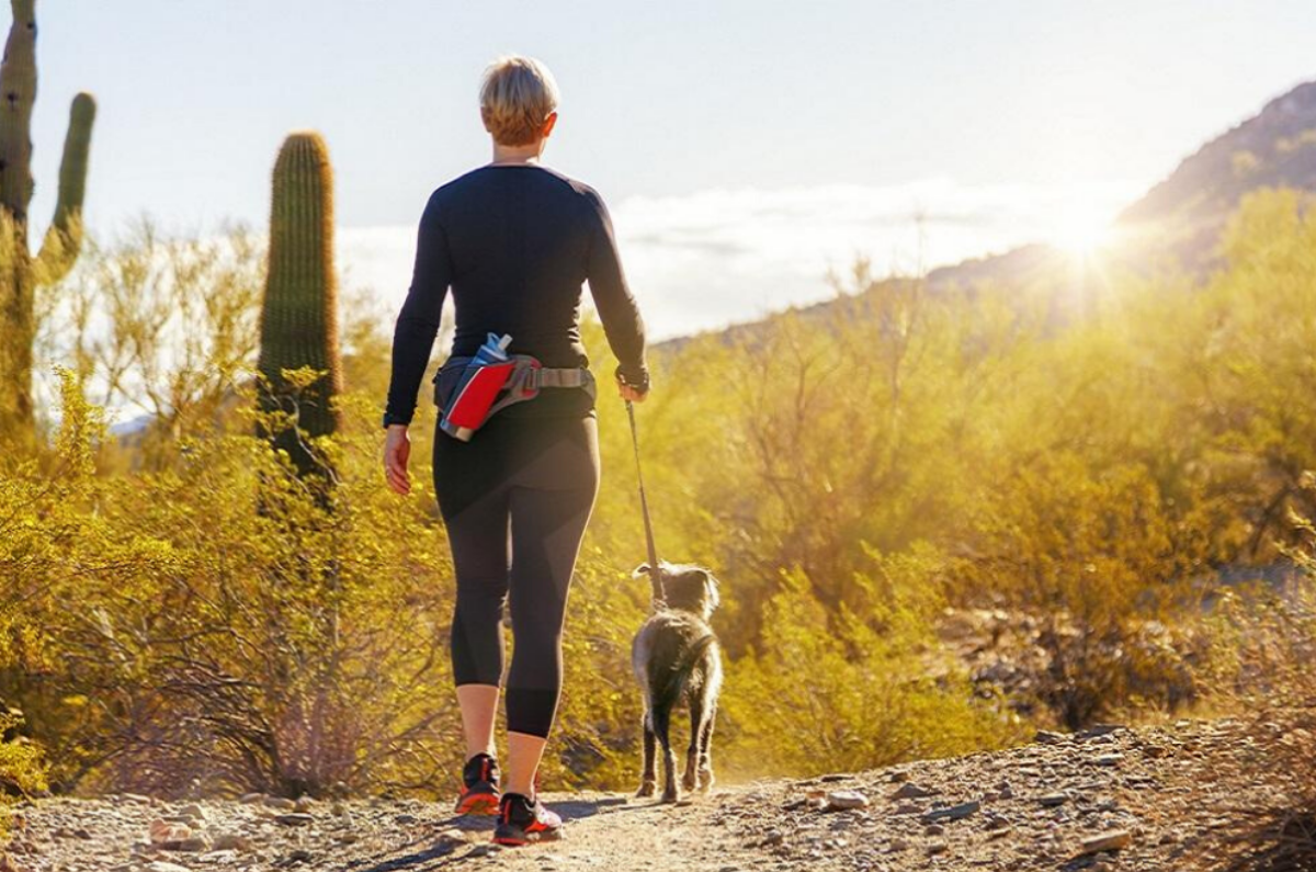 Top 5 Favorite Places to Explore with your Dog