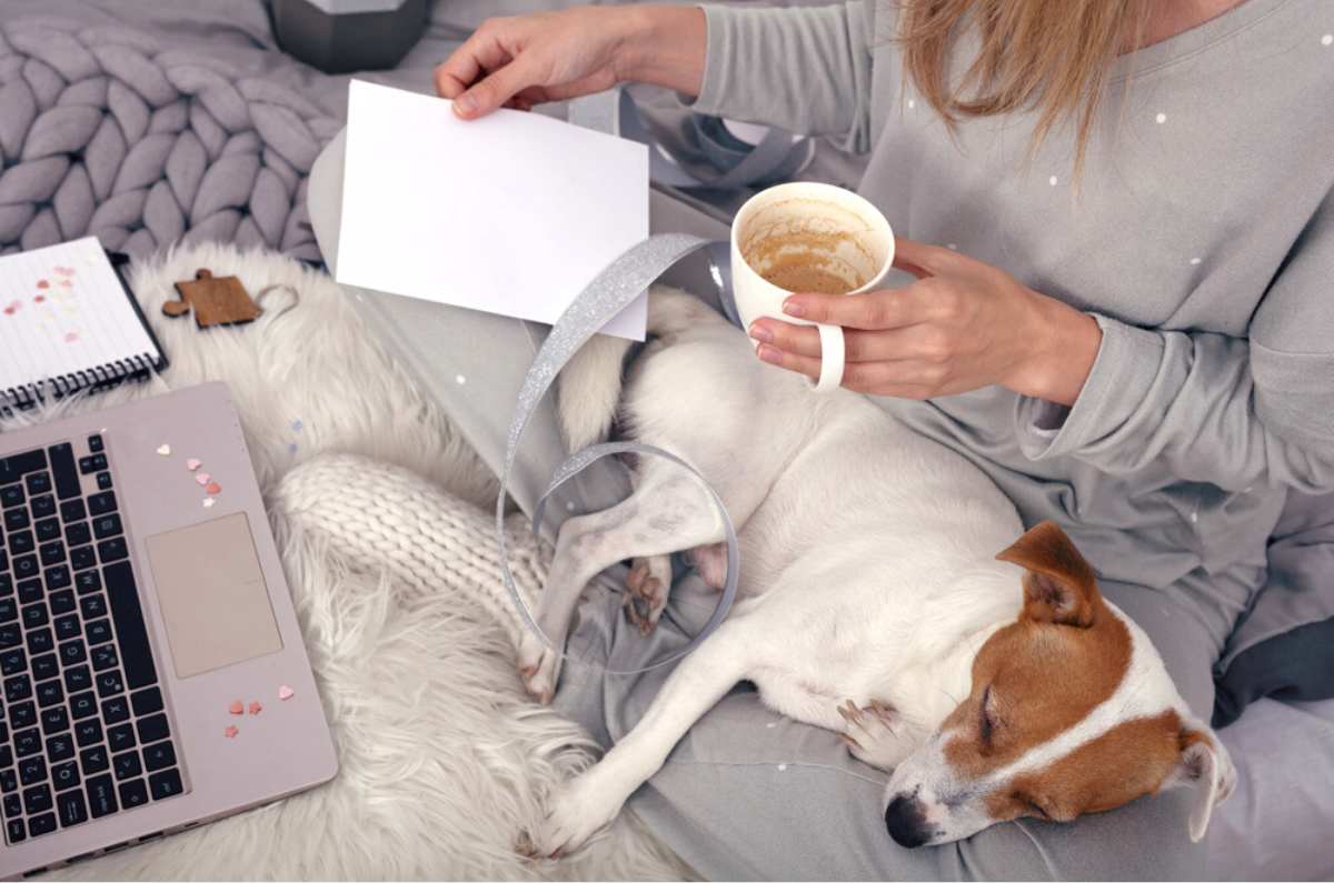 LIFE IS “RUFF” ENOUGH: TRY BRILLIANT PAD