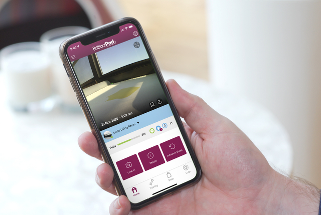 BrilliantPad Smart app: 6 smart features that transform pet care