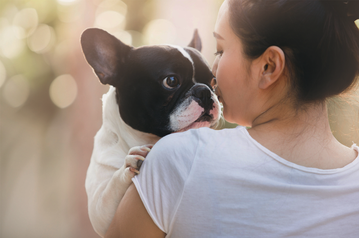 Top 5 Reasons We Are Thankful For Dogs