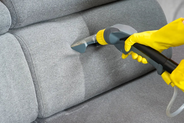 How to get pee smell out of your couch 10 tips
