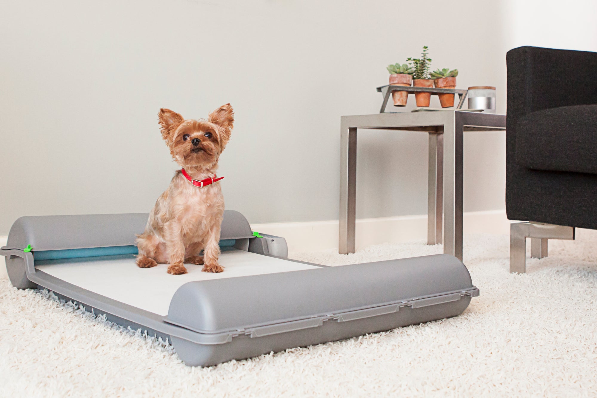 Brilliant Pad Improves Lifestyle