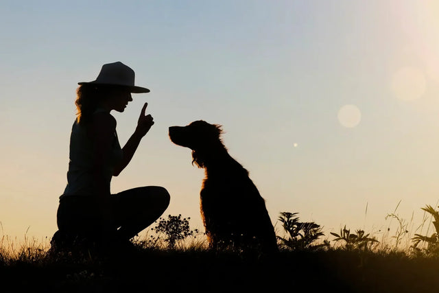 Types of dog training every new puppy owner should know