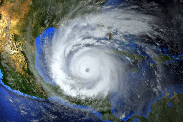 8 dog safety tips for hurricanes