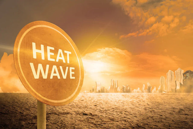 6 tips to keep your pet safe in the heat