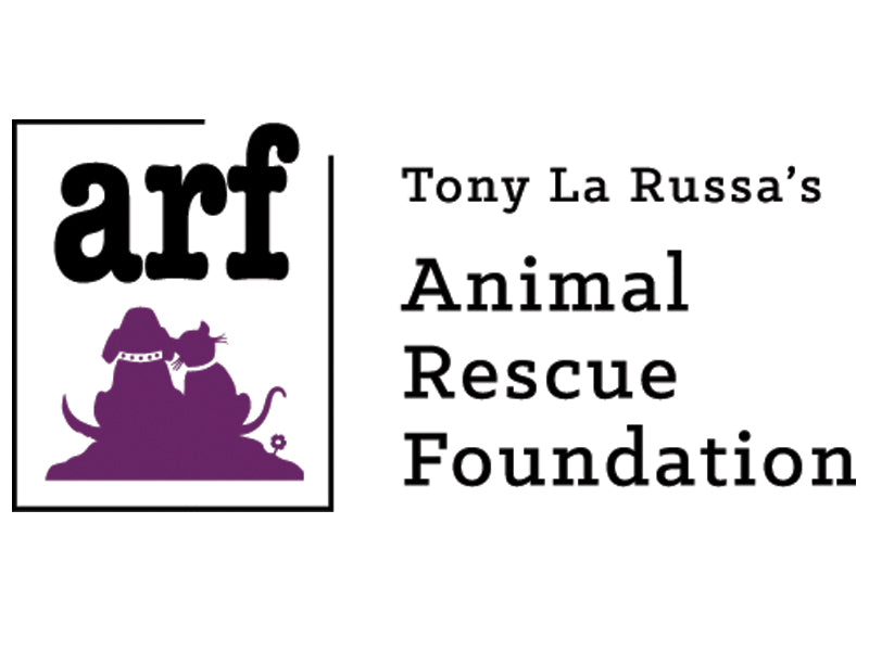 Shelter & Charity Donations