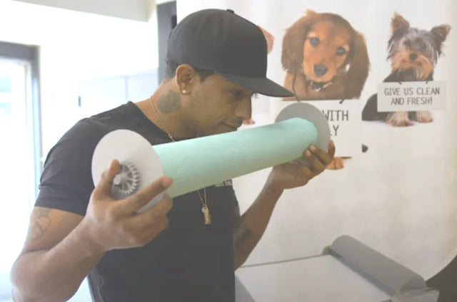 How BrilliantPad eliminates dog potty odor