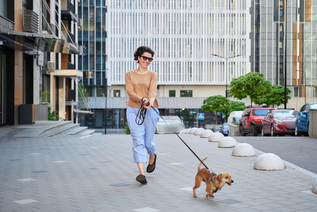 Does BrilliantPad replace walking your dog? The truth about indoor dog potties