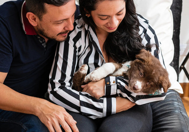 Welcome home, puppy! Let’s start off on the right paw