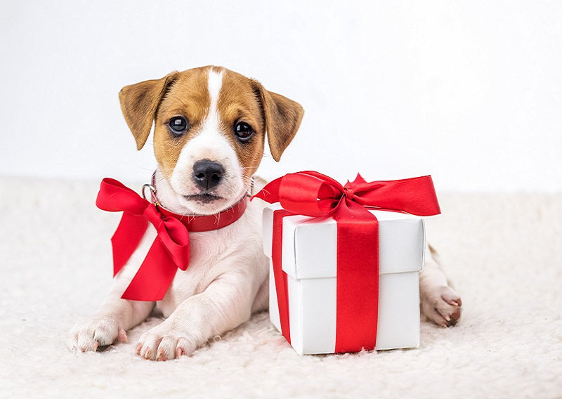 Gift Yourself Less Stress
