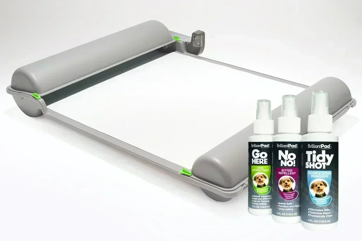 Ditch Dirty Pads with BrilliantPad Smart