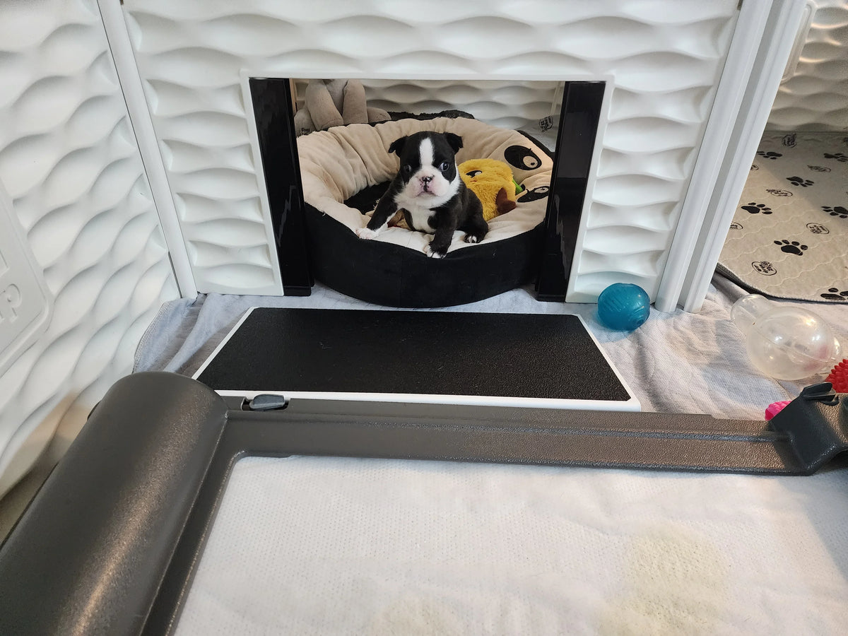 BrilliantPad Pro with Grate for EZwhelp