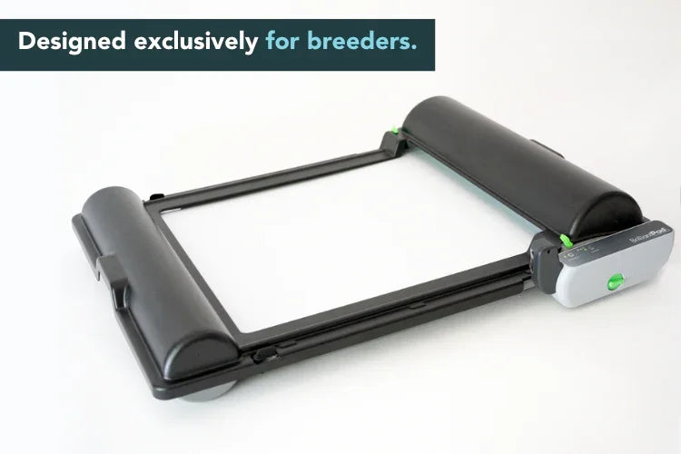 BrilliantPad Breeder Bundle Special Offer