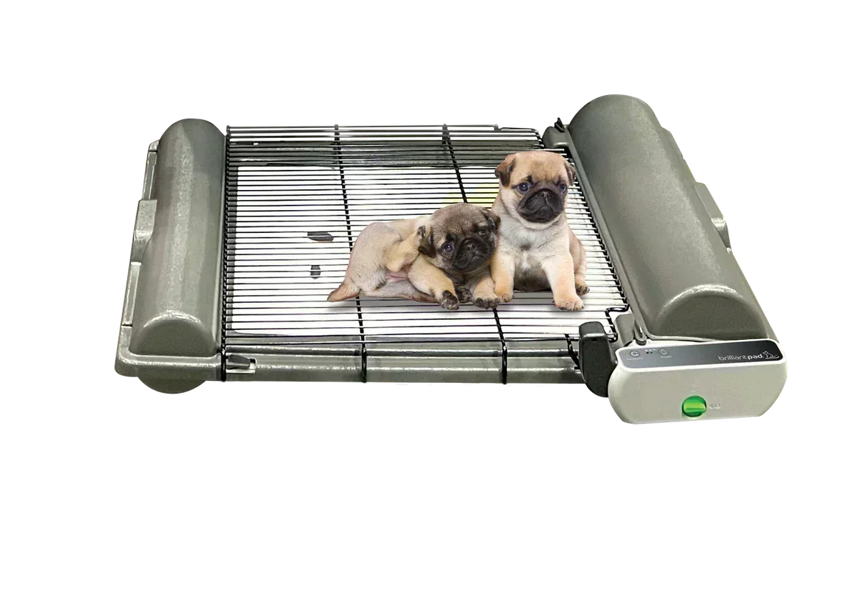 BrilliantPad Pro Kit for Breeders with Grate