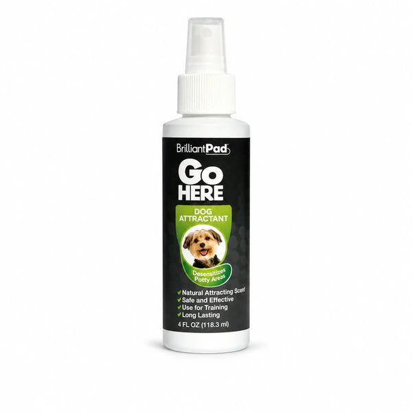 Go Here Dog Attractant Spray