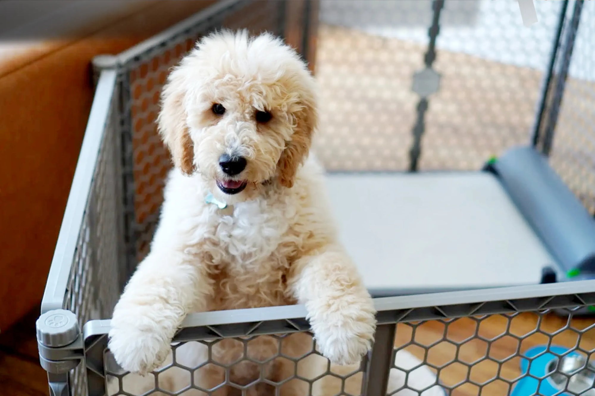 Automatic top dog pad