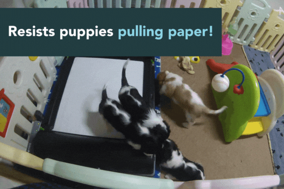 BrilliantPad Breeder Bundle Special Offer