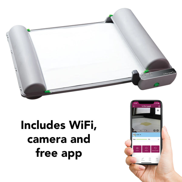 Brilliant Pad Smart 自動トイレ Smart Dog Potty | BrilliantPad