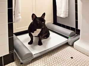 Basic Breeder Bundle. BrilliantPad with push-button advance, 8 extra rolls (9 total!) and 3 training sprays